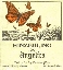 Hinzerling 1992 Angelica label