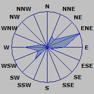 Wind Rose